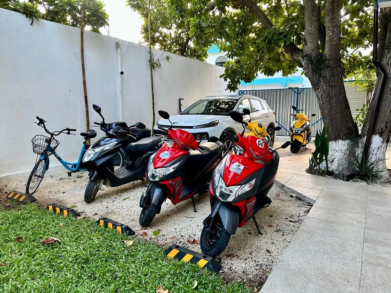 Cozumel 400A - Vacation Rental דירה